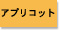 プリント色：アプリコット